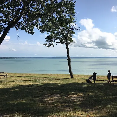 Kis Haz Az Erdo Mellett - Little House Next To The Forest